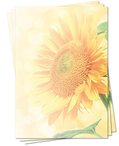 Motiv Briefpapier (Sommer-5094, DIN A4, 25 Blatt) Briefpapier mit großer goldener Sonnenblume im Sommer-Sonnenlicht von LYSCO
