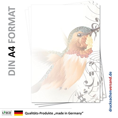 Motiv Briefpapier (Vogel-5104, DIN A4, 100 Blatt) Eisvogel im Flug Musik Noten Vögel Motivpapier von LYSCO