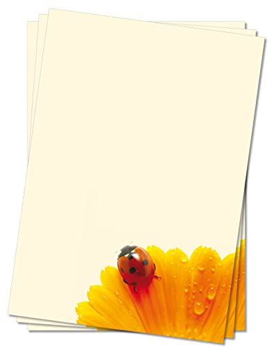 Motivpapier Briefpapier (Blumen-5074, DIN A4 100 Blatt) Marienkäfer auf Gerbera Glück rot gelb orange schwarz von LYSCO