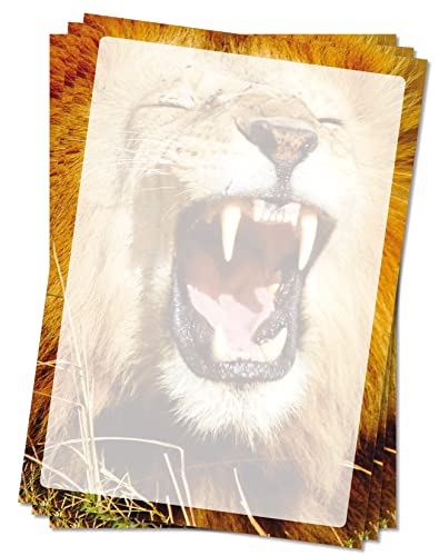 Motivpapier Briefpapier (Löwe-5072, DIN A4 25 Blatt) gefährlicher Löwe mit gefletschten Zähnen und weit aufgerissenem Maul in Afrika/Tierpark Zoo von LYSCO