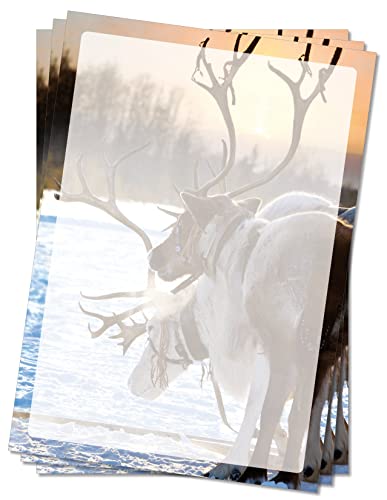 Motivpapier Briefpapier (Tiere-5062, DIN A4 25 Blatt) Rentiere im Winter auf schneebedeckter Wiese im Sonnenuntergang von LYSCO