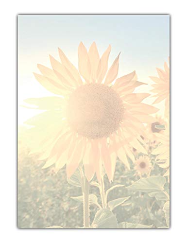 Motivpapier Briefpapier Sonnenblumen im Sonnenlicht (MPA-5199, DIN A4, 100 Blatt) von LYSCO