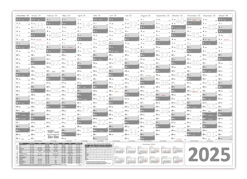 Wandkalender/Wandplaner 2025 (grau) gerollt DIN A0 Format (841 x 1189 mm) 14 Monate, komplette Jahresvorschau Folgejahr und Ferientermine/Feiertage aller Bundesländer von LYSCO