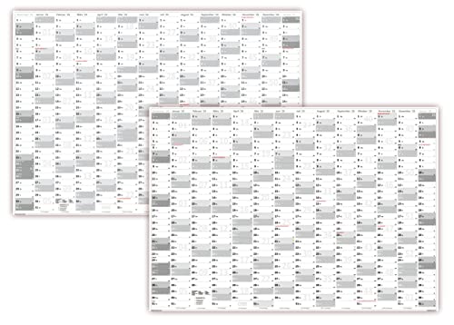XL Wandkalender DIN A1 2024 + 2025 (grau2) große Tageskästchen (Kalender werden gerollt versendet) von LYSCO