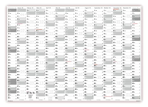 XL Wandkalender DIN A1 2025 (grau2) große Tageskästchen (Kalender werden gerollt versendet) von LYSCO