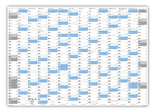 XXL Wandkalender DIN A0 2024 (blau2) große Tageskästchen (Kalender werden gerollt versendet) von LYSCO