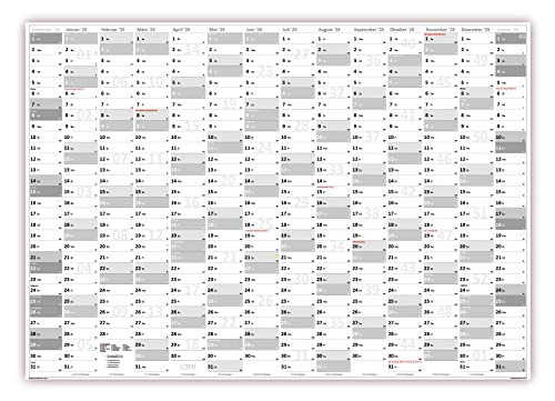 XXL Wandkalender DIN A0 2025 (grau2) große Tageskästchen (Kalender werden gerollt versendet) von LYSCO