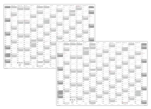 XXL Wandkalender DIN A0 2025 + 2026 (grau2) große Tageskästchen (Kalender werden gerollt versendet) von LYSCO