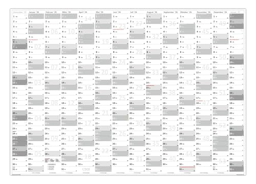 XXL Wandkalender DIN A0 2026 (grau2) große Tageskästchen (Kalender werden gerollt versendet) von LYSCO