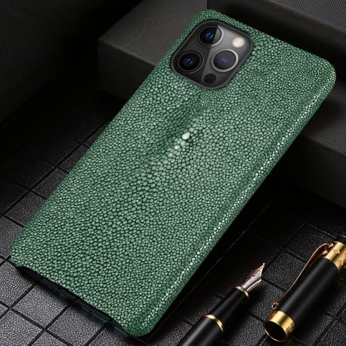 LYWZDZQ Leder-Handyhülle mit Rochenmuster für iPhone 16 15 12 13 14 Pro Max Plus 14Pro 15Pro 11 Promax, luxuriöse, stoßfeste Rückseite, grün, für iPhone 13 Pro Max LYWZDZQ Leder-Handyhülle mit Rochenmuster für iPhone 16 15 12 13 14 Pro Max Plus 14Pro 15Pro 11 Promax, luxuriöse, stoßfeste Rückseite, grün, für iPhone 13 Pro Max von LYWZDZQ