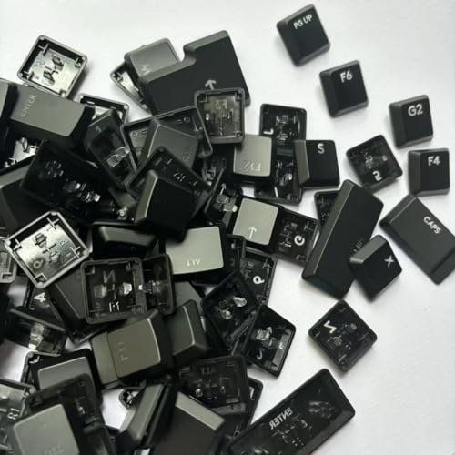 LZYDD Tastenkappe mit Hintergrundbeleuchtung für Logitech G915TKL G915 G913 G815 G813 Tastatur-Tastenkappen, 111 volle Tasten. Ersatz-Tastenkappen zum Selbermachen, farbige Tastenkappen (schwarz) von LZYDD