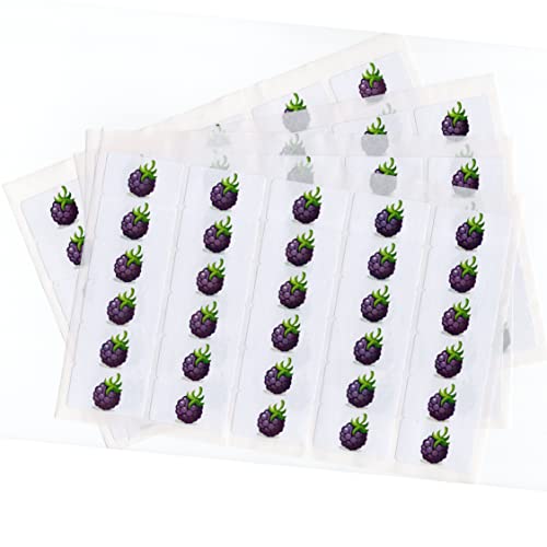 480 x Aufkleber - Brombeere (38 x 21 mm). Hochwertige selbstklebende Etiketten mit Fruchtmotiv von LabelCreate. von LabelCreate