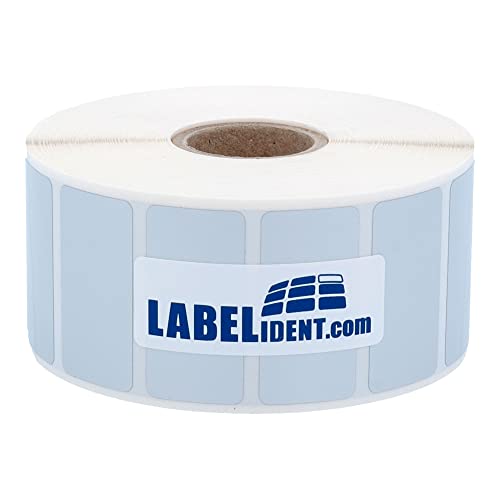Labelident Thermotransfer-Etiketten auf Rolle silber - 30 x 15 mm - 2.000 Polyester PET Etiketten auf 1 Rolle(n), 1 Zoll (25,4 mm), Typenschild Etiketten selbstklebend von Labelident