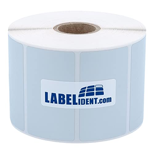 Labelident Thermotransfer-Etiketten auf Rolle silber - 57,15 x 19,05 mm - 1.000 Polyester PET Etiketten auf 1 Rolle(n), 1 Zoll (25,4 mm), Typenschild Etiketten selbstklebend von Labelident