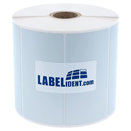 Labelident Thermotransfer-Etiketten auf Rolle silber - 80 x 40 mm - 1500 Polyester PET Etiketten auf 1 Rolle(n), 25 mm (1 Zoll), Typenschild Etiketten selbstklebend von Labelident
