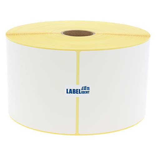 Labelident Versandetiketten DPD - 110 x 162 mm - 920 BPA-freie Thermo-Eco Papier Etiketten auf 1 Rolle(n), 1,57 Zoll (40 mm), Thermodirekt selbstklebend, Trägerperfo. von Labelident