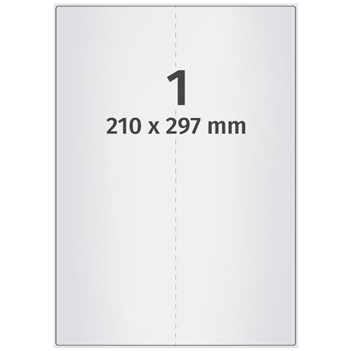Labelident wetterfeste Folienetiketten - 210 x 297 mm - 100 PET Polyester Etiketten silber auf 100 DIN A4 Bogen, matt, Typenschilder Etiketten selbstklebend, Trägerschlitzung von Labelident