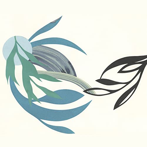 The Natural Lines The Natural Lines von Bella Union