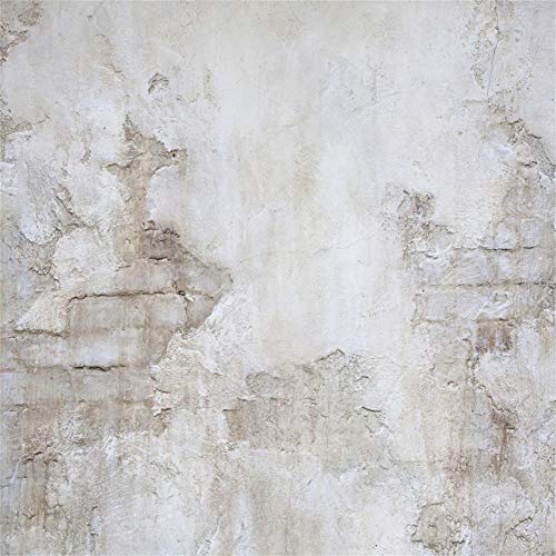 Laeacco Rock Wall Photography Backdrops for Studio 10x10ft Vinyl Studio Backdrop Customized Photography Backdrop Stone Wall Backdrop Grunge Antique Ingredient Rough Wall Retro Architecture Laeacco Rock Wall Photography Backdrops for Studio 10x10ft Vinyl Studio Backdrop Customized Photography Backdrop Stone Wall Backdrop Grunge Antique Ingredient Rough Wall Retro Architecture von Laeacco
