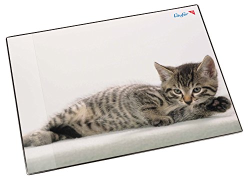 Läufer 46592 Schreibtischunterlage Katze grau, 53x40 cm, rutschfeste Schreibunterlage für Kinder, mit transparenter Seitentasche von Läufer