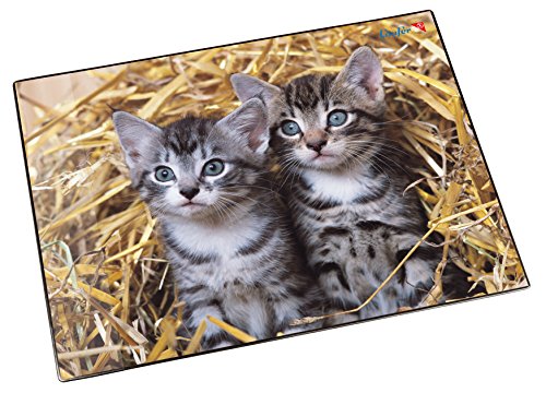 Läufer 46637 Schreibtischunterlage Katzen im Stroh, 53x40 cm, rutschfeste Schreibunterlage für Kinder, Zubehör für Kinderschreibtisch, mit transparenter Seitentasche von Läufer