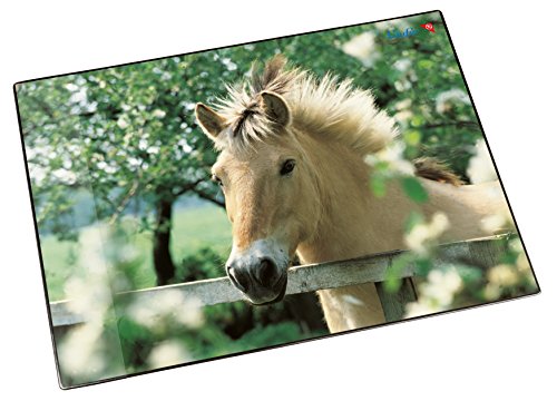 Läufer 46640 Schreibtischunterlage Pferd am Weidezaun, 53x40 cm, rutschfeste Schreibunterlage für Kinder, mit transparenter Seitentasche von Läufer