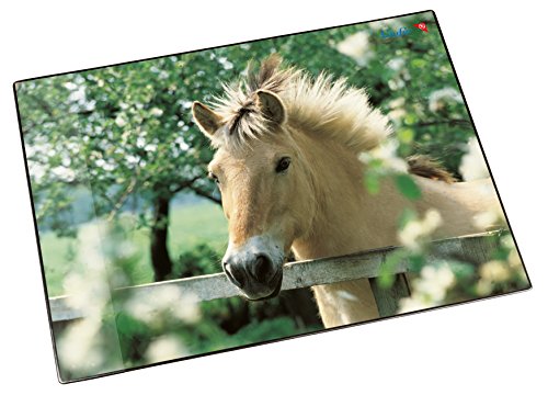 Läufer 46640 Schreibtischunterlage Pferd am Weidezaun, 53x40 cm, rutschfeste Schreibunterlage für Kinder, mit transparenter Seitentasche Läufer 46640 Schreibtischunterlage Pferd am Weidezaun, 53x40 cm, rutschfeste Schreibunterlage für Kinder, mit transparenter Seitentasche von Läufer
