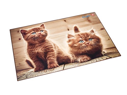 Läufer 46650 Schreibtischunterlage Katzen Neugierige Kätzchen, 53x40 cm, rutschfeste Schreibunterlage für Kinder, Zubehör für Kinderschreibtisch, mit transparenter Seitentasche Läufer 46650 Schreibtischunterlage Katzen Neugierige Kätzchen, 53x40 cm, rutschfeste Schreibunterlage für Kinder, Zubehör für Kinderschreibtisch, mit transparenter Seitentasche von Läufer