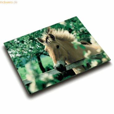 Läufer Schreibunterlage Motiv-Poster 40x53 cm Pferd am Weidezaun Läufer Schreibunterlage Motiv-Poster 40x53 cm Pferd am Weidezaun von Läufer