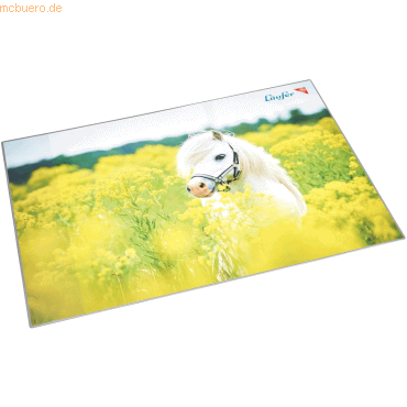 Läufer Schreibunterlage Motiv-Poster 40x53 cm Pferd im Rapspfeld Läufer Schreibunterlage Motiv-Poster 40x53 cm Pferd im Rapspfeld von Läufer