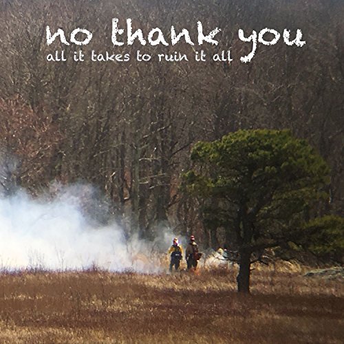 All It Takes to Ruin Itall [Vinyl LP] von LAME-O RECORDS