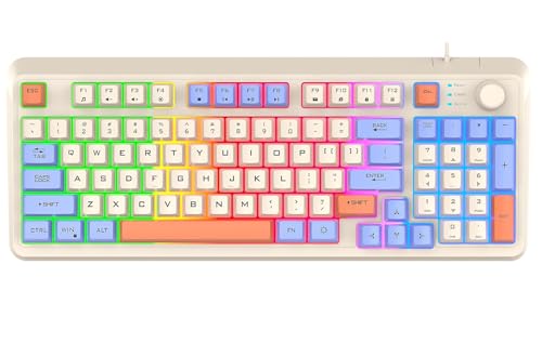 Lancoon Kabelgebundene Gaming Tastatur mit 94 Tasten Mechanisch 3 Farben Gemischte Tastenkappen Cooler Lichteffekt Verstellbare Halterung Multimedia Funktion für PC Computer (Blau) von Lancoon