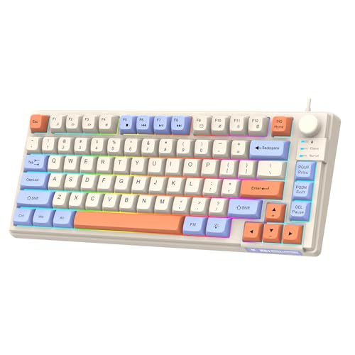 Lancoon Kabelgebundene Gaming Tastatur mit Lautstärkeregler Buntes Licht 81 Tasten Verstellbare Halterung Multimedia Funktion Ergonomisches Design für PC Computer Laptop Tablet Lancoon Kabelgebundene Gaming Tastatur mit Lautstärkeregler Buntes Licht 81 Tasten Verstellbare Halterung Multimedia Funktion Ergonomisches Design für PC Computer Laptop Tablet von Lancoon