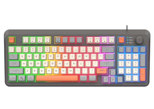 Lancoon Kompakte Kabelgebundene Gaming Tastatur mit 94 Tasten Mechanisch 3 Farben Gemischte Tastenkappen Cooler Lichteffekt Verstellbare Halterung Multimedia Funktion für PC Computer (Grau) von Lancoon