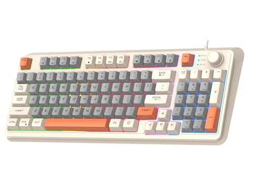 Lancoon Verkabelte Mechanische Gaming Tastatur mit 94 Tasten 3 Farbig Gemischte Tastenkappen Kühler Lichteffekt Verstellbare Halterung Multimedia Funktion für PC Computer (Weiß) von Lancoon