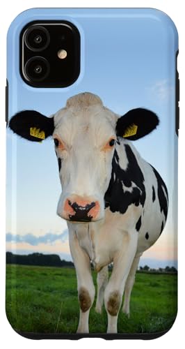 Hülle für iPhone 11 Kuh Landwirt Bauer Kühe Rinder Milchbauer Landwirtschaft von Landwirt T-Shirts und Bekleidung Bauer nordishland