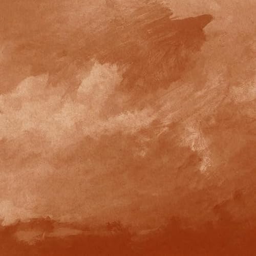 When Can [Vinyl LP] von Lapsus Records