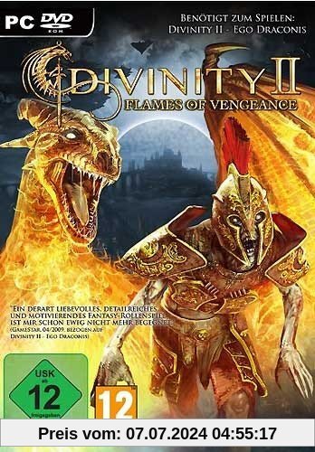 Divinity II: Flames of Vengeance (Add-on) von Larian