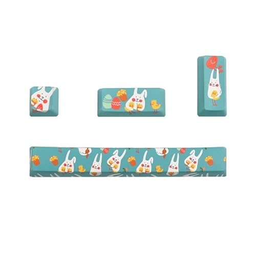 4Keys/Set 5 Seiten Farbstoff Sublimation Mechanische Tastatur Tastenkappe Für MX Schalter 6.25U Leertaste Geben Sie Tasten OEM Profil Mechanische Tastatur Tastenkappen von Laspi