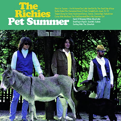 Pet Summer / Don`t Wanna Know (Green Vinyl) [Vinyl LP] von Last Exit Music (Broken Silence)