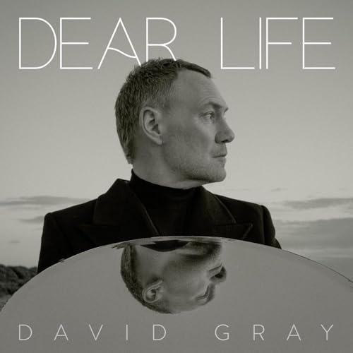 Dear Life [Vinyl LP] von Laugh A Minute Records