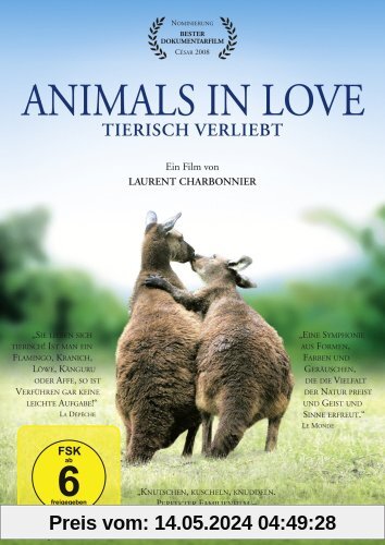 Animals in Love von Laurent Charbonnier