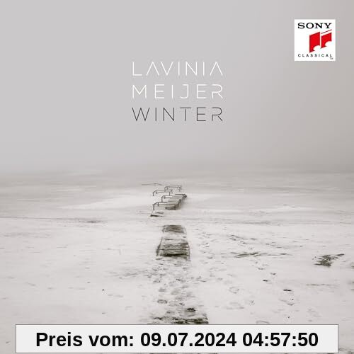 Winter von Lavinia Meijer