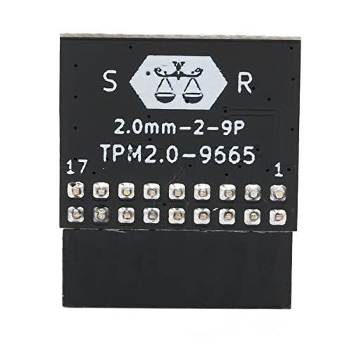 Lazmin112 TPM 2.0-Modul Remote Card Encryption Security für Windows-PCs von Lazmin112