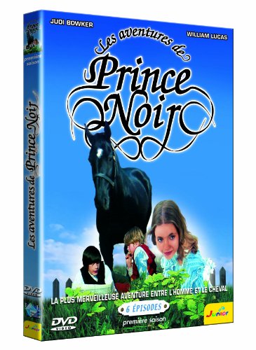 Les aventures de Prince noir, saison 1 - Coffret 2 DVD [FR Import] von Lcj Editions & Productions