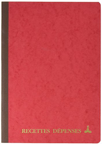 Le Dauphin - Ref. 3931D - 1 Stich - Maße 29,7 x 21 cm - Format A4 - Einnahmen - Ausgaben - 80 Seiten - Softcover aus Glanzkarte in zufälligen Farben: gelb, grün, rot, grün von Le Dauphin