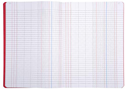 Le Dauphin piqûre Tagebuch folioté 21 x 29,7 cm 100 Seiten Farbe kann variieren von Le Dauphin