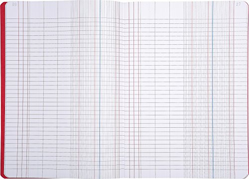 Le Delphin – Ref. 42608D – 1 Stich – Maße 34 x 22,5 cm – kariert 5 x 5 – Innenpapier 90 g – 100 nummerierte Seiten – Einband zufällige Farben – Blau, Gelb, Grün, Rot von Le Dauphin