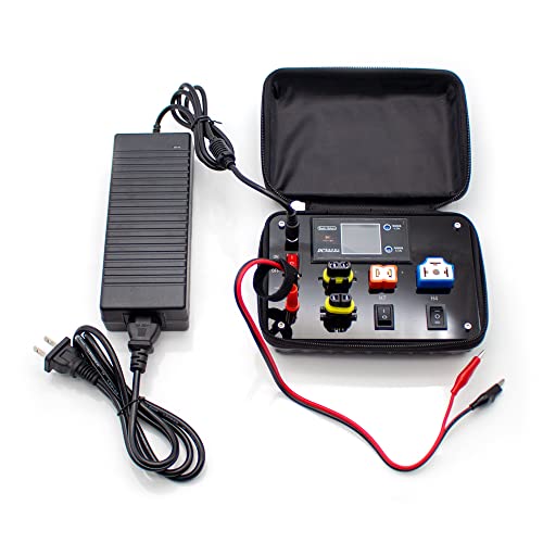LeTkingok 12V Auto Led Portable Tester, H4 H7 H11 H8 9005 9006 T10 Festoon Scheinwerfer Lampe Auto Lichter Glühbirnen Test Box Testgerät von LeTkingok