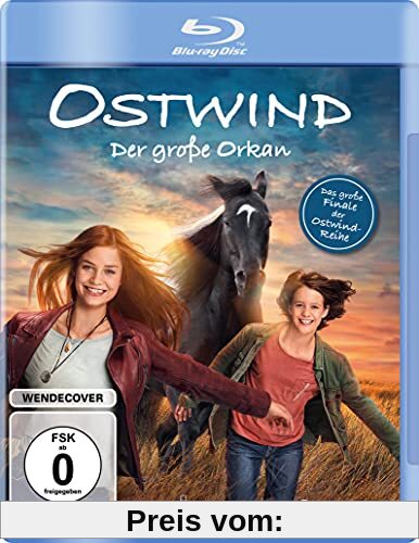 Ostwind - Der große Orkan [Blu-ray] von Lea Schmidbauer